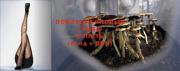 a pvp Верея