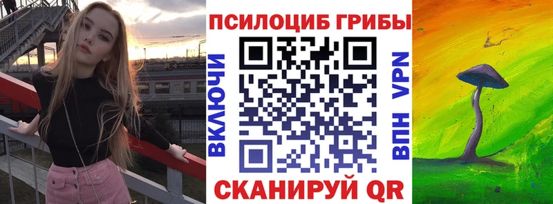 магазин  наркотиков  hydra зеркало  Псилоцибиновые грибы ЛСД  Новошахтинск 